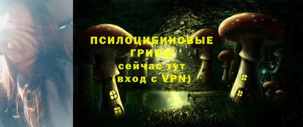 дурь Волоколамск